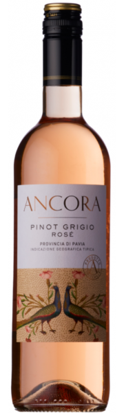 Pinot Grigio Rose Ancora  Italy 75cl